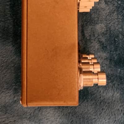 Immagine Walrus Audio Fathom / Slö 2020 - Gold - 4