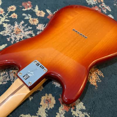 2023 Fender Duo-Sonic image 11
