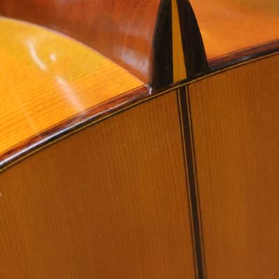 1968 Aria A544FS Flamenco – Friction Pegs image 10