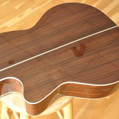KREMONA Fiesta F65CW-SB / Performer Series / Crossover Nylon Electro / Made In Europe  / 10-063-13-06 image 12