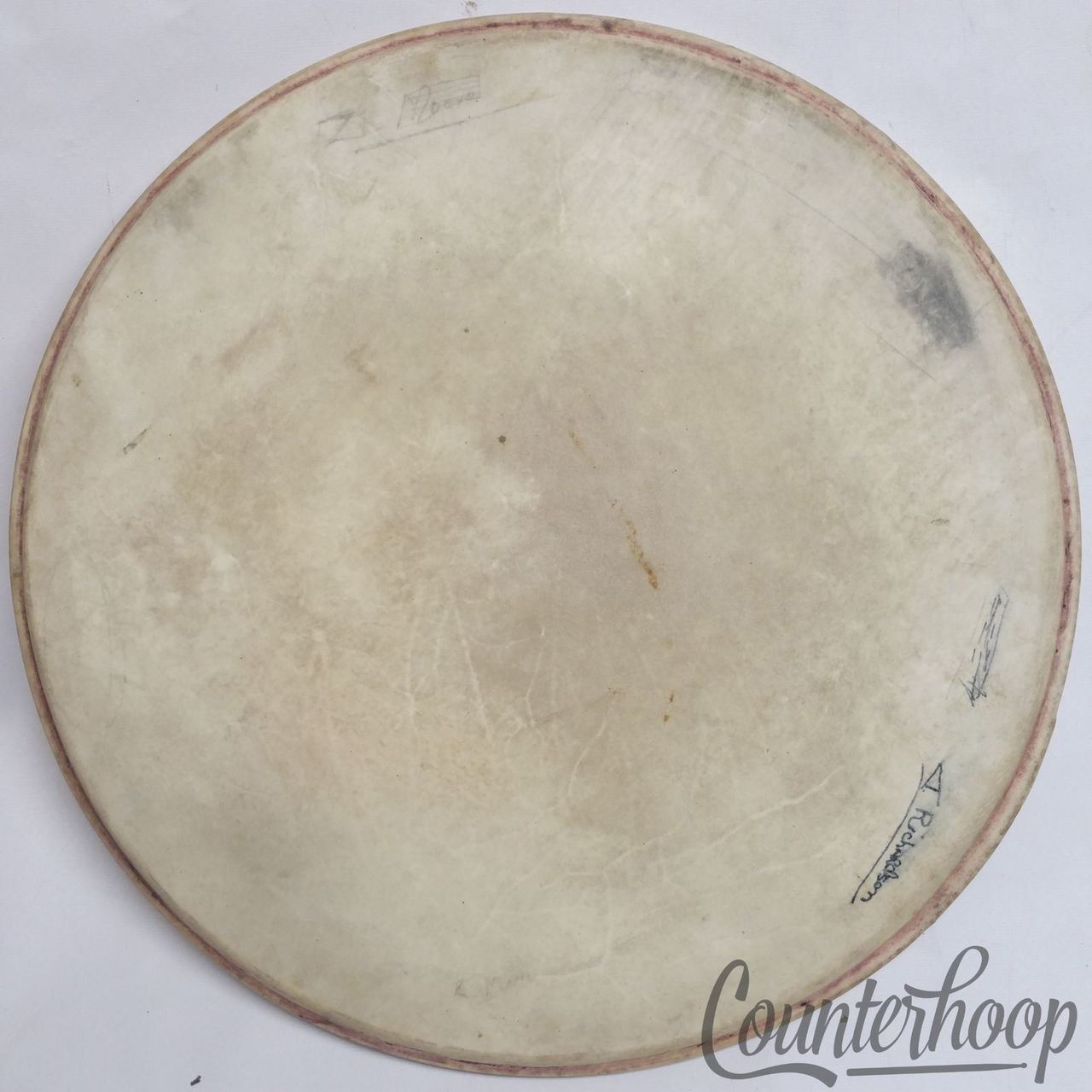 Ludwig 17" Calf Skin Parade Tenor Tom Drum Batter Marching Head Vintage 40s USA — main photograph