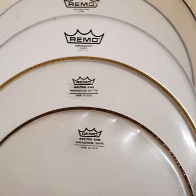 5PC Remo 12", 3x14", 16" Batter Heads Lot - As New - Save $ image 3