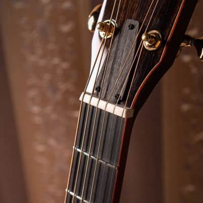 Cort Roselyn Redux Natural Glossy w/Case (B Stock) image 15