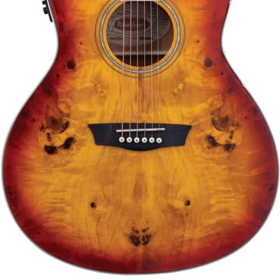 Washburn DFBACEA Deep Forest Burl Grand Auditorium Acoustic Electric Guitar Amber Fade Amber Fade image 13