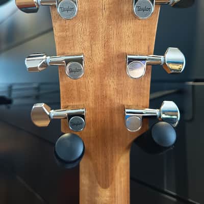 Taylor GT Urban Ash image 8