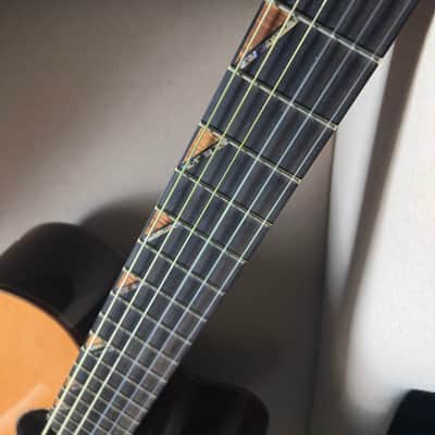 Paul McGill Super Ace Nylon Classical Cutaway Brazilian Rosewood BAM Case image 15