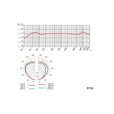Akg P170 High-Performance Professional Instrumental Microphone image 7