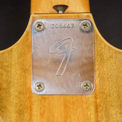 1967 Fender Coronado II Wildwood I image 13