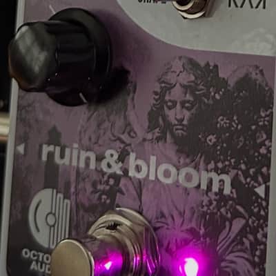 ruin & bloom image 4