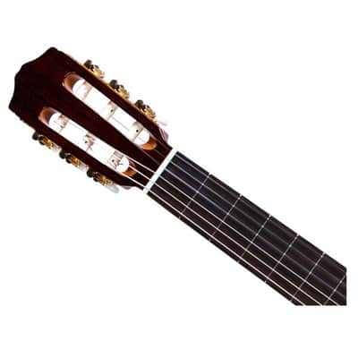 Cordoba Iberia C5-CE Spruce Cutaway Acoustic Electric Nylon String Guitar image 4