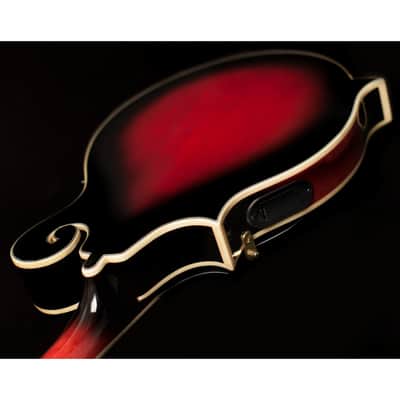 Washburn M3SWETWRK Americana Series Florentine F-Style 8-String Acoustic-Electric Mandolin w/Hardshell Case image 4