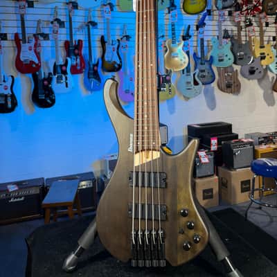 Ibanez Bass Workshop EHB605 5-string Electric Bass Guitar - Walnut Flat, Free Plek! 024 image 3