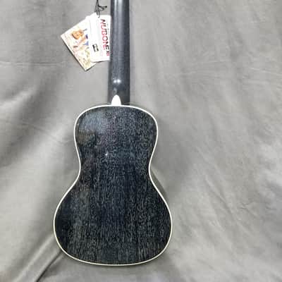 Kala KA-SDH-C All Solid Salt & Pepper Doghair Mahogany Concert Ukulele image 3