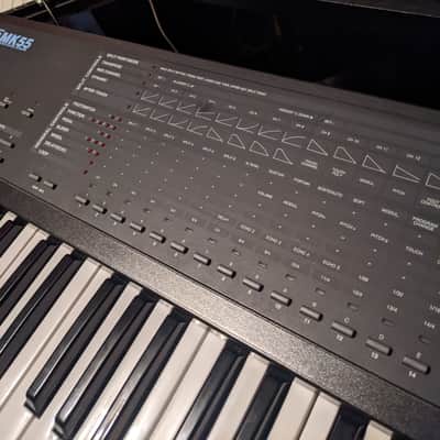Elka Mk-55 Polyphonic Aftertouch Midi Controller image 11
