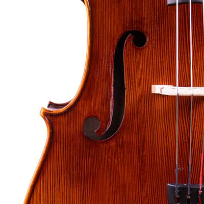 Goffriller Cello 4/4 from One Piece Back - Hand-Made in Romania 2025 #78 image 5