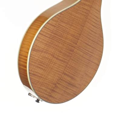 Bourgeois M5-A Mandolin #M0623106 image 2
