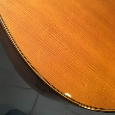 Rare 2007 Martin D-21 Special all wood bindings no plastic! image 9