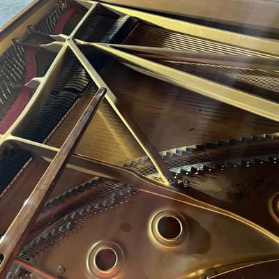 Steinway Model D Concert Grand 1986 Signed image 13