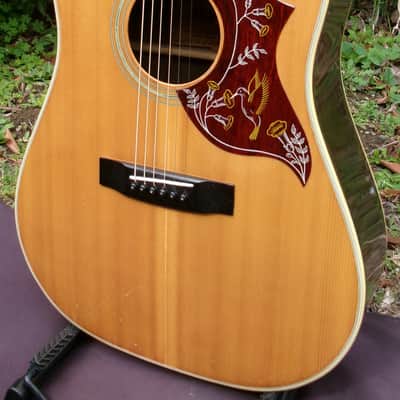 1974 Terada made Morris W25 Humming Bird Style image 1
