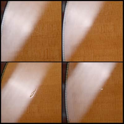 Breedlove Oregon Series Concert Semi-Gloss Natural/ Satin Sitka Spruce Top/ Myrtle Wood Back&Sides 2016 w/OHSC image 12