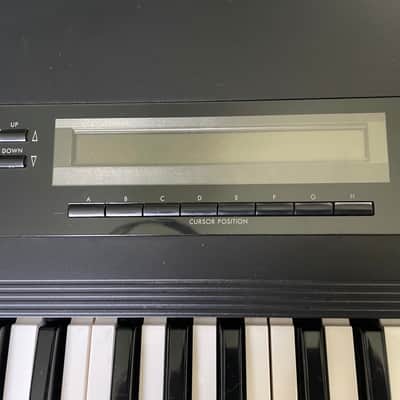 Korg M1 61-Key Synth Music Workstation 1990s - Black image 14