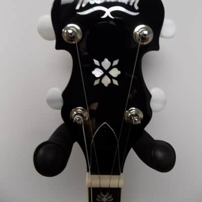 Washburn Americana B10 5-string Resonator Banjo image 3