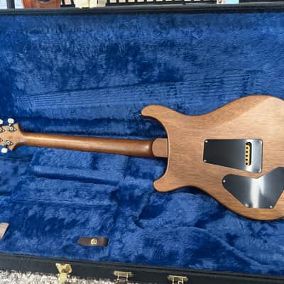 PRS DGT David Grissom Tremolo Wood Library 10top image 6