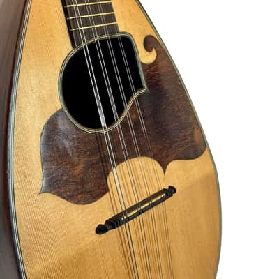 Neapolitan Mandolin G. Kasermann Style 1920's image 5