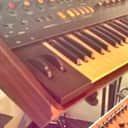 Korg Monopoly 1982 - wood and steel case