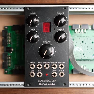 Erica Synths Black Hole DSP + Expander ROM! image 1