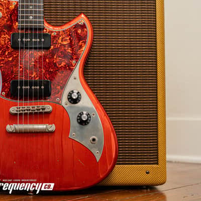 Novo Serus P2 in Candy Apple Red with a East Indian Rosewood Fret Board - 2025 image 6