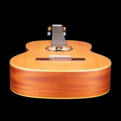 Ortega R131SN Family Series Pro Solid Cedar Top Mahogany Neck Nylon 6-String Classical Acoustic Guitar w/Gig Bag image 11
