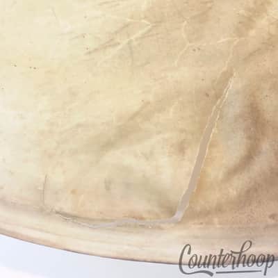 *Gretsch 27" Calf Skin Bass Drum Head Vintage 10s Calfskin Early American Batter image 2
