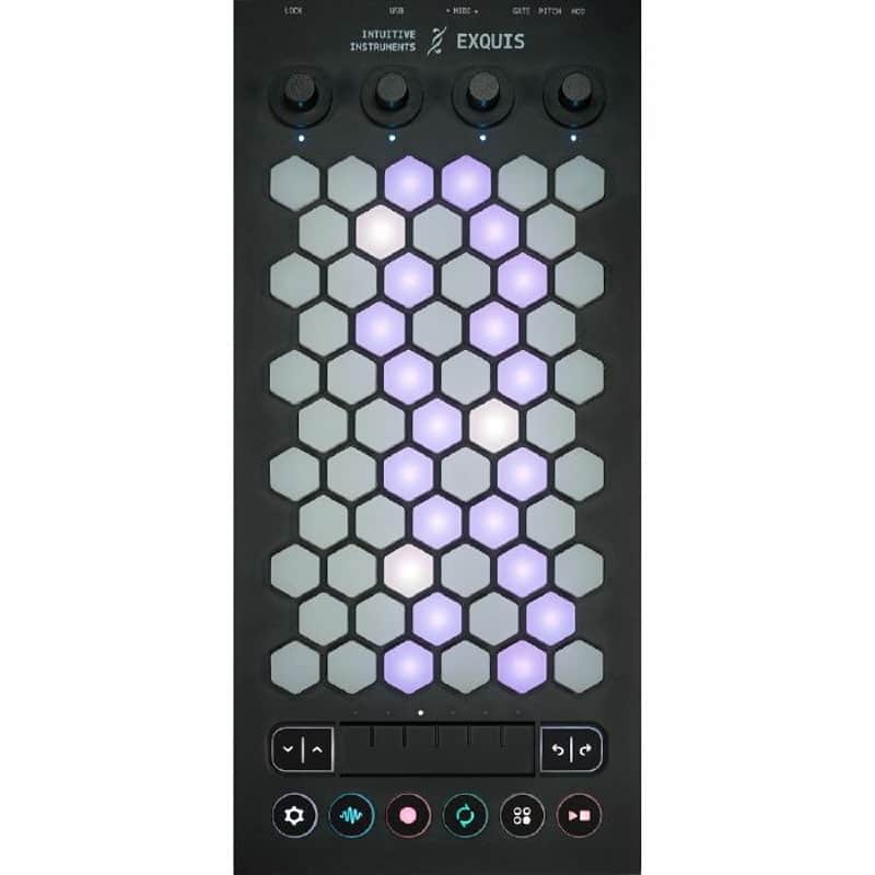 Intuitive Instruments Exquis Pure Expressive MIDI Controller image 1