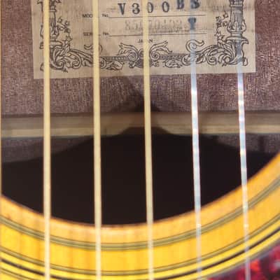 Ibanez V300BS 1985 image 22
