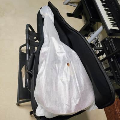 Fender California Newporter Player w/Bag! image 8