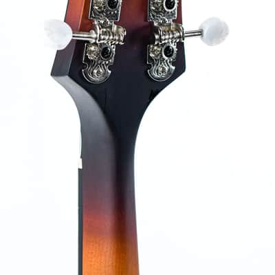 Eastman MD305E Sunburst Bild 6