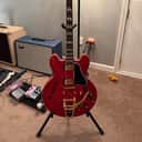 Epiphone Back To The Future ES-345 2025 - UPGRADES