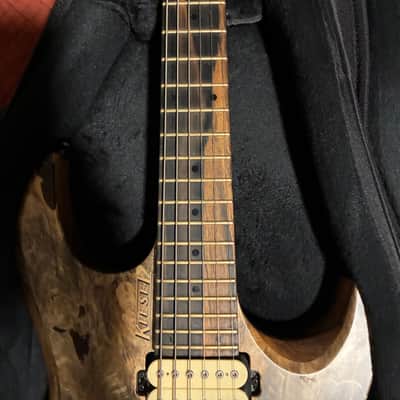 Kiesel Vader 6 String Buckeye Burl 2020+ Buckeye Burl image 2