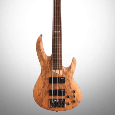 ESP LTD B205 Fretless Electric Bass (5-String) image 2