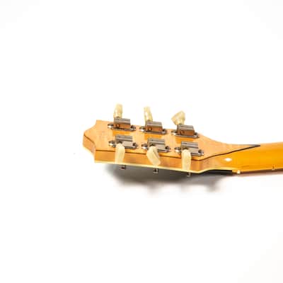 Hamburguitar Jerry Garcia Style Guitar Owned by Mike Campbell image 7