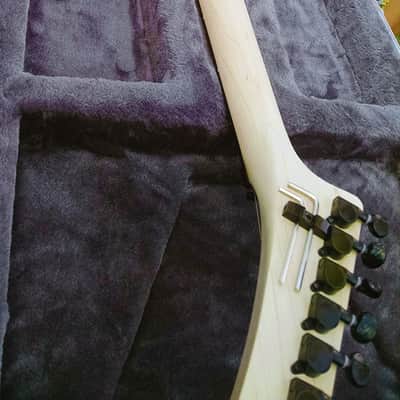 Hand carved Hembry Skull and Bones guitar for George Lynch mom, ESP, J Frog fans image 18