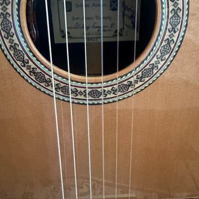 Juan Montes Rodríguez Flamenco 1ª Negra Exclusive Cutaway + LR Baggs Installed 2025 image 3