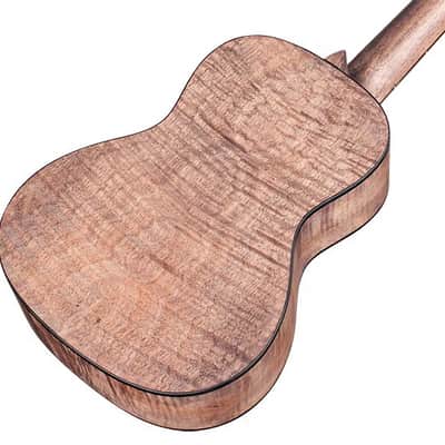 Cordoba 15CFM Concert Ukulele Granite Gray image 2
