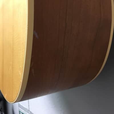 Norman B20 (6) Acoustic Guitar image 11