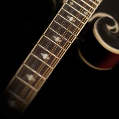 Washburn Americana M3SWE Trans Wine Red w/Case image 9