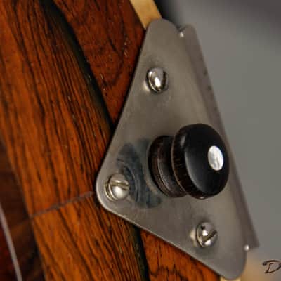 2014 Condino A style Mandolin, Brazilian Rosewood/Adirondack Spruce image 12