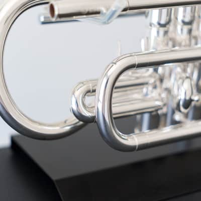 Yamaha YCR-6330S Bb Cornet (SN 0010xx) image 12