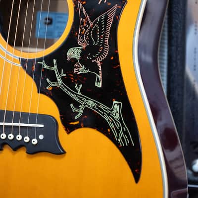 2024 Epiphone FT120 Masterbilt Excellente Acoustic - in Natural image 16