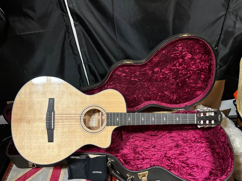 Taylor 312ce-N Acoustic Electric Guitar w Case image 1